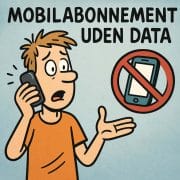 Mobilabonnement uden data